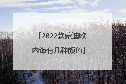 2022款蒙迪欧内饰有几种颜色