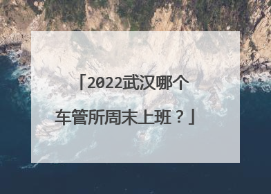 2022武汉哪个车管所周末上班？
