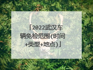 2022武汉车辆免检范围(时间+类型+地点)