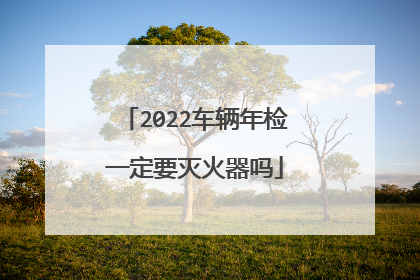 2022车辆年检一定要灭火器吗