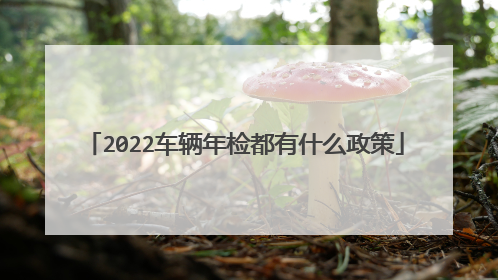 2022车辆年检都有什么政策