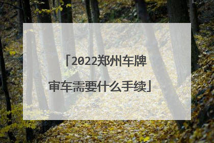 2022郑州车牌审车需要什么手续