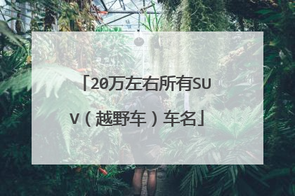 20万左右所有SUV（越野车）车名