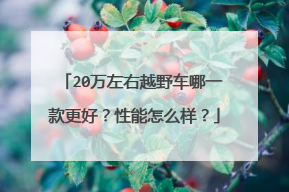 20万左右越野车哪一款更好？性能怎么样？
