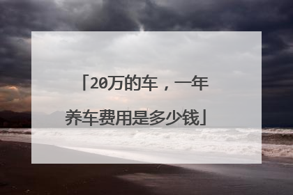 20万的车，一年养车费用是多少钱