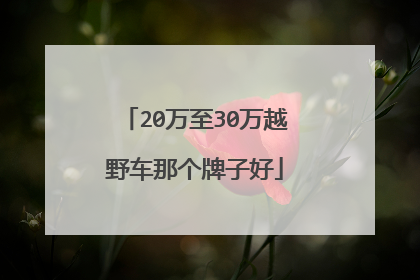 20万至30万越野车那个牌子好