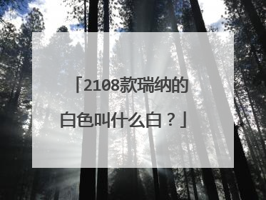 2108款瑞纳的白色叫什么白？