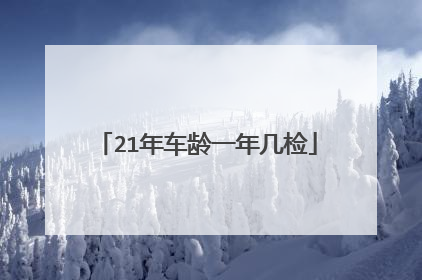 21年车龄一年几检