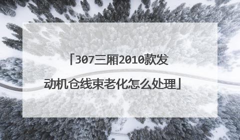 307三厢2010款发动机仓线束老化怎么处理