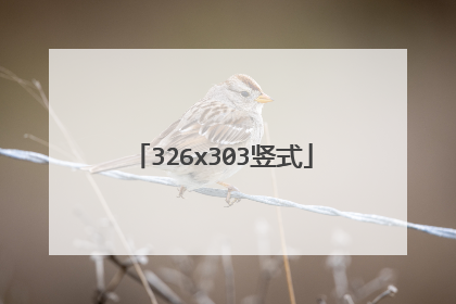 326x303竖式