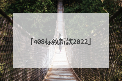 408标致新款2022