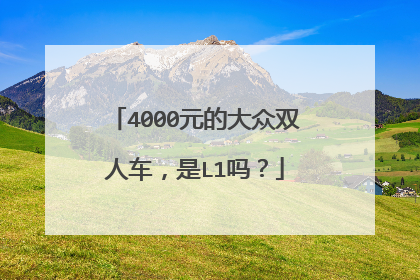4000元的大众双人车，是L1吗？