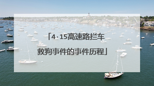 4·15高速路拦车救狗事件的事件历程