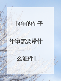 4年的车子年审需要带什么证件