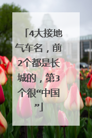 4大接地气车名，前2个都是长城的，第3个很“中国”