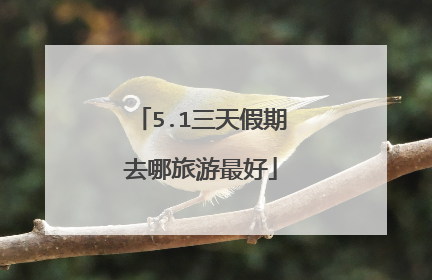 5.1三天假期去哪旅游最好
