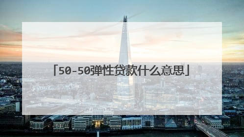 50-50弹性贷款什么意思