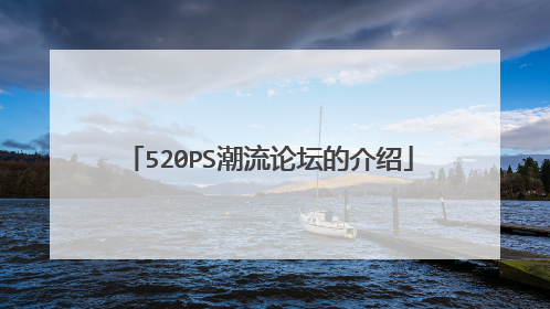 520PS潮流论坛的介绍