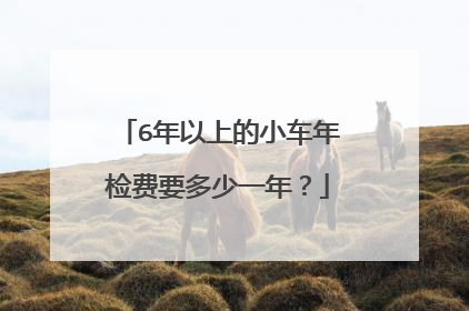 6年以上的小车年检费要多少一年？