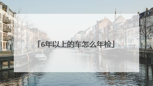 6年以上的车怎么年检