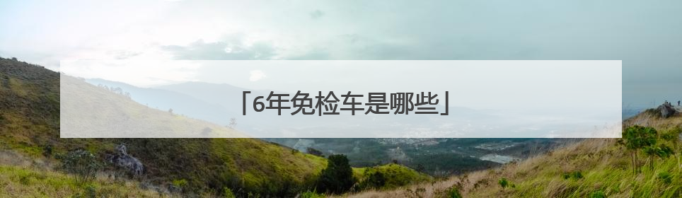 6年免检车是哪些