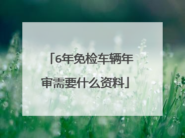 6年免检车辆年审需要什么资料