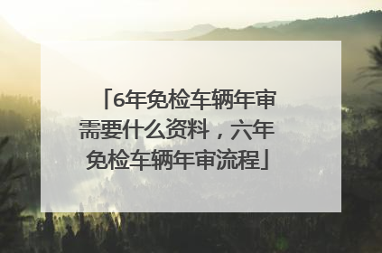 6年免检车辆年审需要什么资料，六年免检车辆年审流程