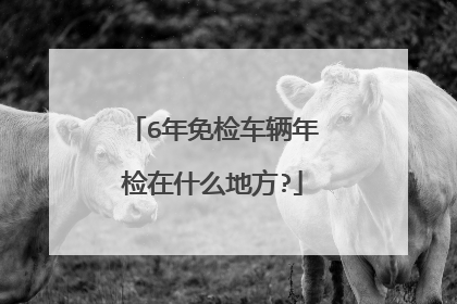6年免检车辆年检在什么地方?