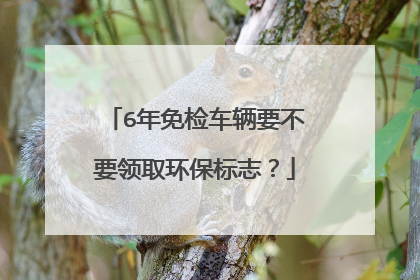 6年免检车辆要不要领取环保标志？