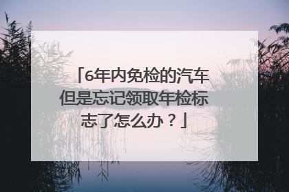 6年内免检的汽车但是忘记领取年检标志了怎么办？