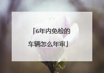 6年内免检的车辆怎么年审