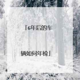 6年后的车辆如何年检