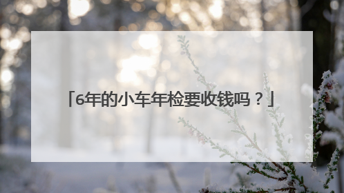 6年的小车年检要收钱吗？