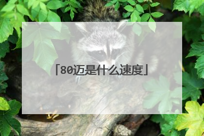 80迈是什么速度
