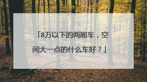 8万以下的两厢车，空间大一点的什么车好？