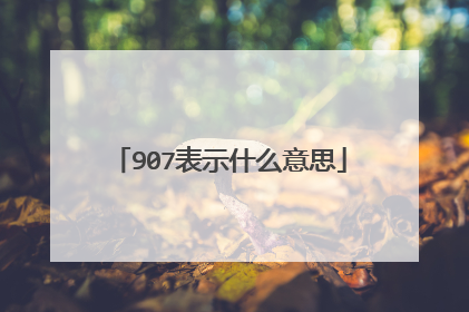 907表示什么意思