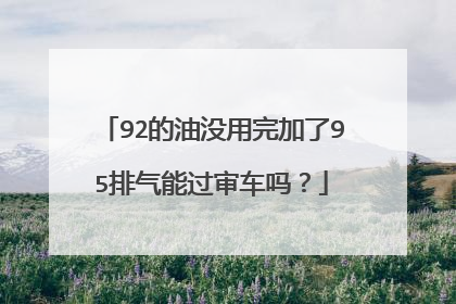 92的油没用完加了95排气能过审车吗？