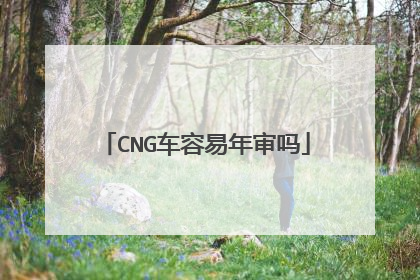 CNG车容易年审吗