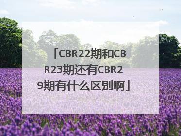 CBR22期和CBR23期还有CBR29期有什么区别啊