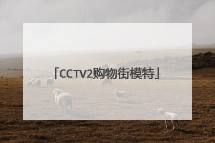 CCTV2购物街模特