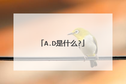 A.D是什么?