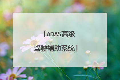 ADAS高级驾驶辅助系统