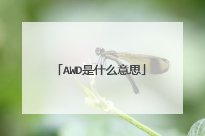AWD是什么意思