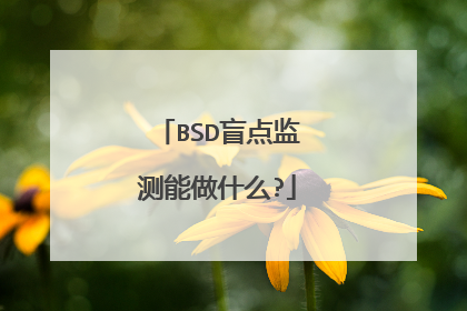 BSD盲点监测能做什么?