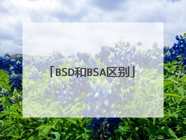 BSD和BSA区别