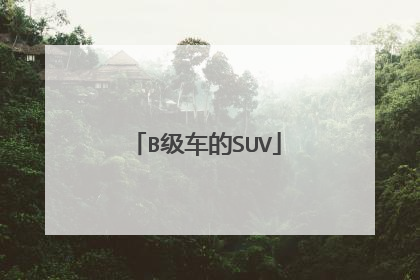 B级车的SUV