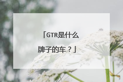 GTR是什么牌子的车？