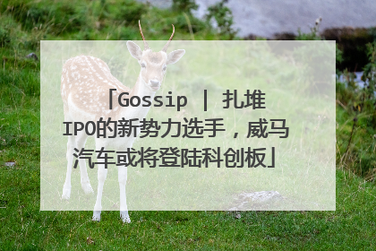 Gossip | 扎堆IPO的新势力选手，威马汽车或将登陆科创板