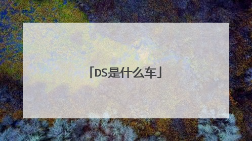 DS是什么车