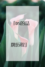 DS的品牌历程